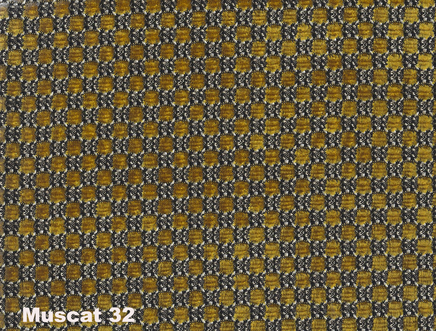 DAW MARSEILLE Chenille 2025