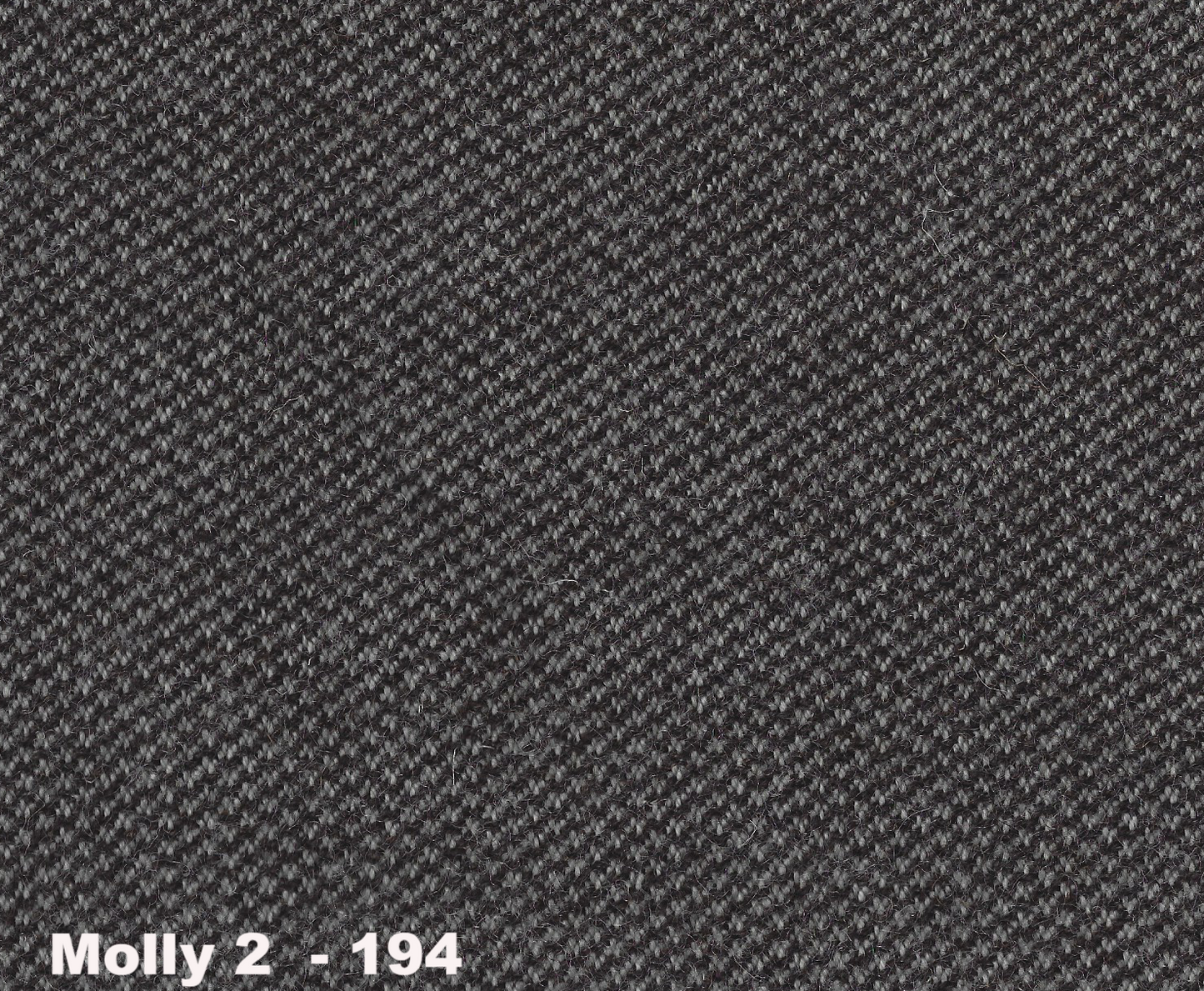 KVADRAT MOLLY 2 2023
