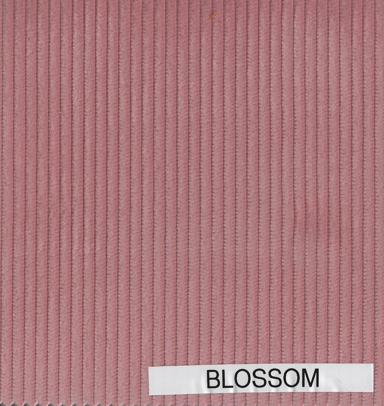 FLØJL - DESIGNERS GUILD , CORDA FDG2922 2024