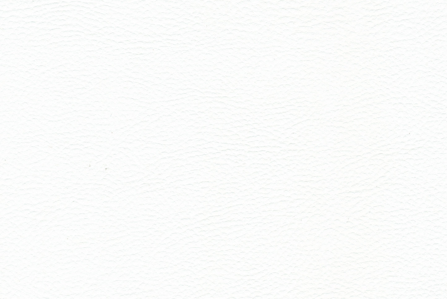 UNITED TEXAS Kunstlæder 2025