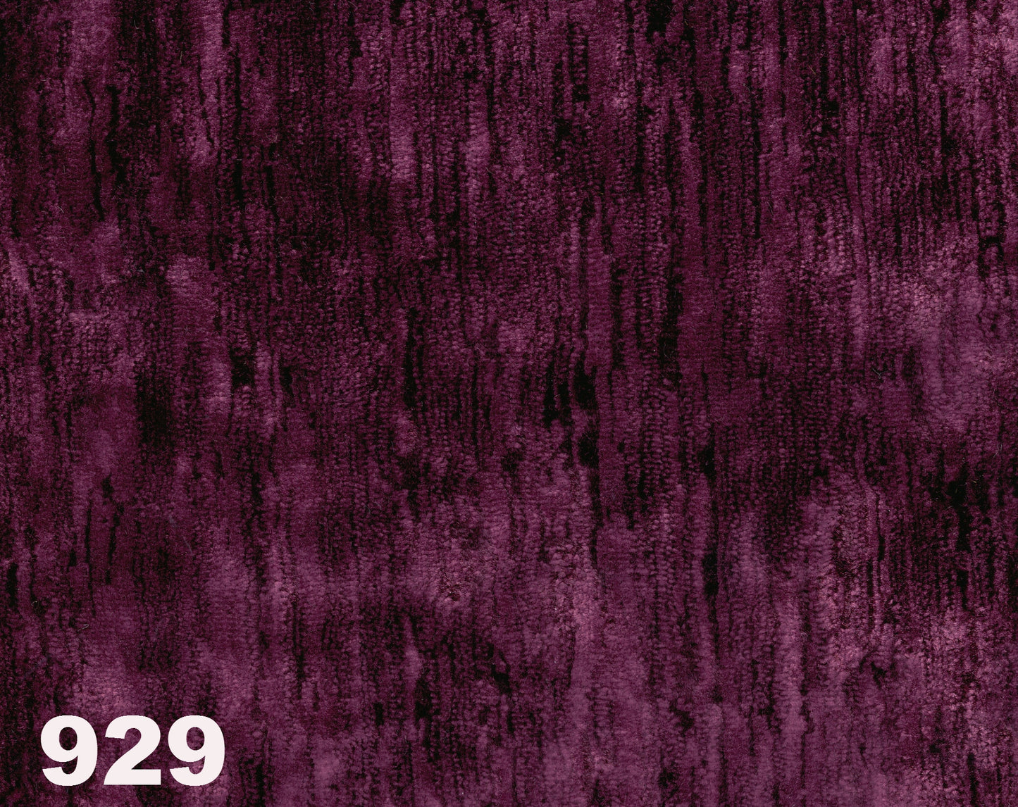 Sanderson  ICARIA   2023