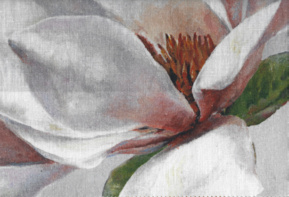 DESIGNERS GUILD  GRANDIFLORA ROSE   2023