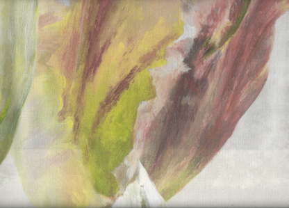 DESIGNERS GUILD  GRANDIFLORA ROSE   2023